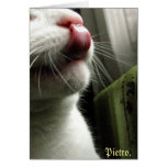 Because You Can. Greeting Cards
