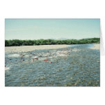 Becharof Creek with Spawning Salmon Greeting Cards