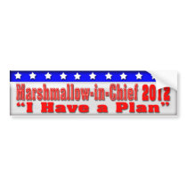 Beck for President Bumper Sticker