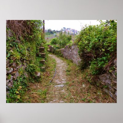 Beckoning Path Poster by seachange