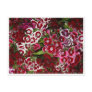 Bed of Pink Dianthus Postcard