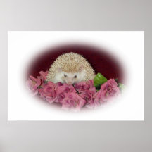 Bed of Roses Hedgehog Print