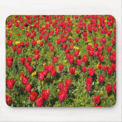 Bed of Tulips Use Pad by artberry