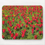 Bed of Tulips mousepads