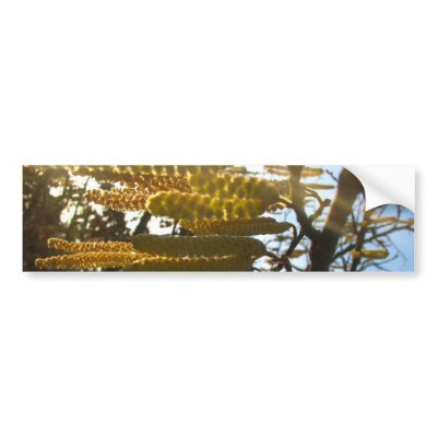 Bedecked Bumper Stickers by thedustyphoenix