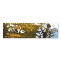 Bedecked bumper stickers