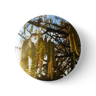 Bedecked Buttons by thedustyphoenix