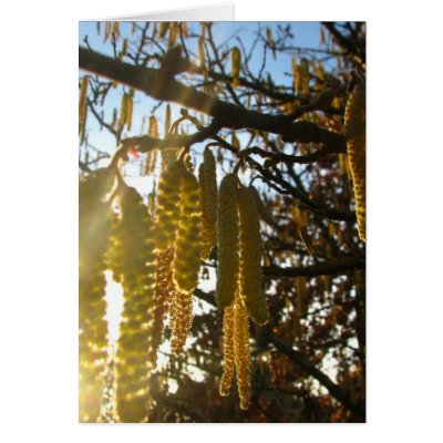 Bedecked Greeting Cards by thedustyphoenix