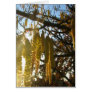 Bedecked Greeting Cards