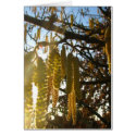 Bedecked cards