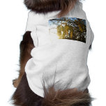 Bedecked Pet Clothes