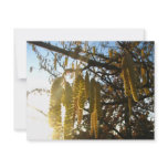 Bedecked Custom Announcements