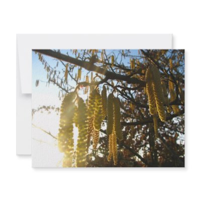 Bedecked Custom Announcements by thedustyphoenix