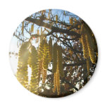 Bedecked Fridge Magnets