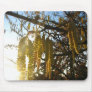 Bedecked Mousepads