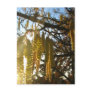 Bedecked Postcard