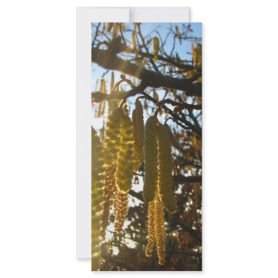 Bedecked Custom Rack Card by thedustyphoenix