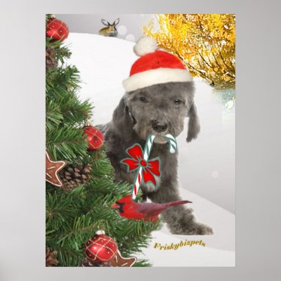 Bedlington puppy  Stands Behind xmas tree Posters by friskybiz