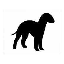 Bedlington Terrier (black) Postcard