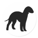 Bedlington Terrier (black)
