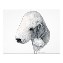 Bedlington Terrier Custom Announcements
