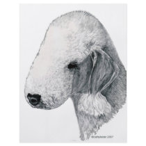 Bedlington Terrier Flyer