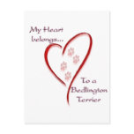 Bedlington Terrier Heart Belongs postcards