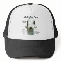 Bedlington Terrier History Design