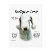 Bedlington Terrier History Design