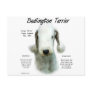 Bedlington Terrier History Design Postcard