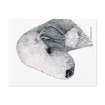 Bedlington Terrier Postcards