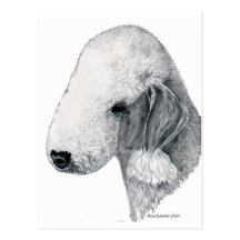 Bedlington Terrier Postcards