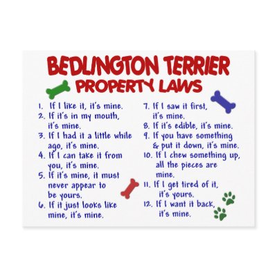 BEDLINGTON TERRIER Property Laws 2 by poochloverstuff