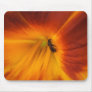 Bee 205 ~ mousepad