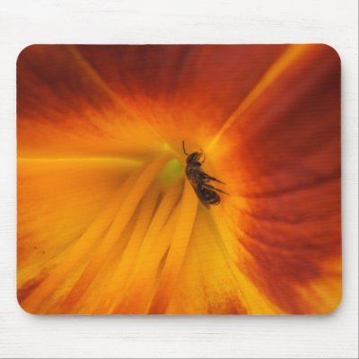Bee 205 ~ mousepad by Andy2302