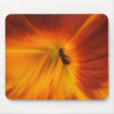 Bee 205 ~ mousepad