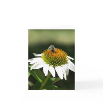 Bee and Aster Greeting Card