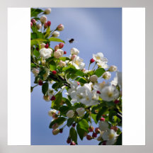 Bee and blossoms print