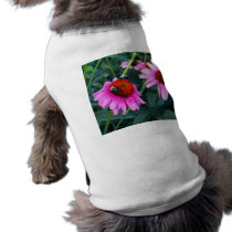 Bee and Coneflower Pet Clothes