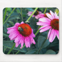 Bee and Coneflower Mouse Pads