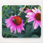 Bee and Coneflower mousepads