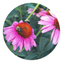 Bee and Coneflower Stickers