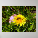 Bee and dandelion posters