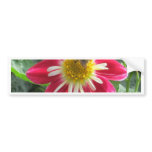 Bee-and-Flower Bumper Stickers