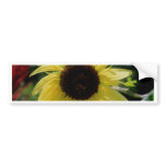 Bee and Flower Cards Bumper Stickers
