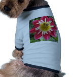 Bee-and-Flower Dog Clothing