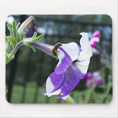 Bee and Flower MP Mousepads by ThroughYourLies