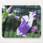Bee and Flower MP mousepads