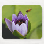 Bee and flower use Pad