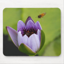Bee and flower use Pad